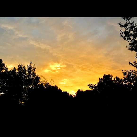 Meet your Posher, Miranda - Picture 1 of 1